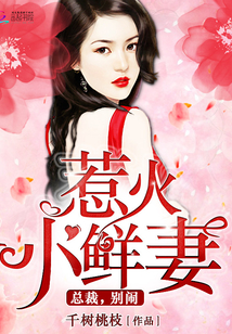 惹火小鲜妻:总裁,别闹!