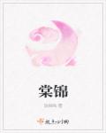 沐安颜神偷狂妃带着宝宝闯天下